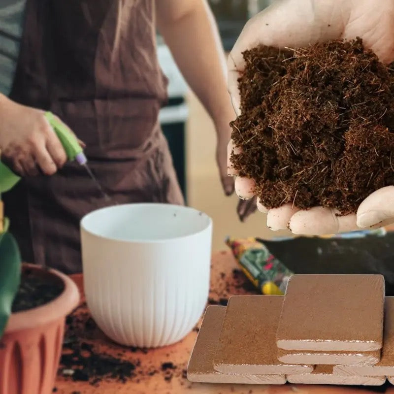 Terreau de coco fertilisé